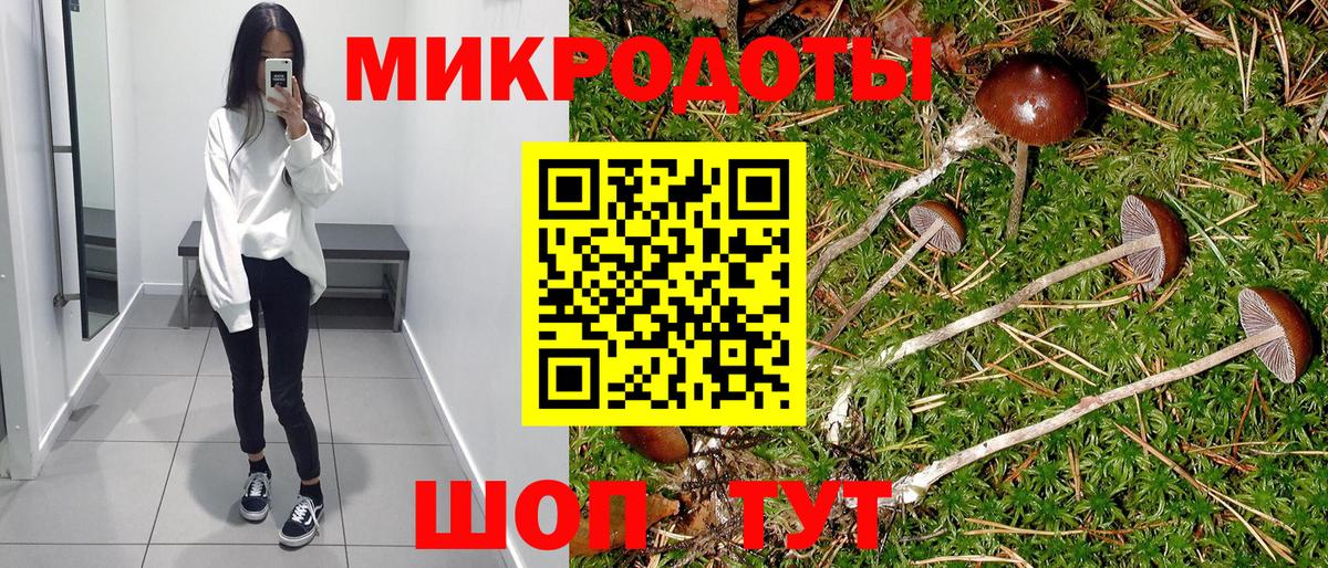 Псилоцибиновые грибы Psilocybine cubensis Можга